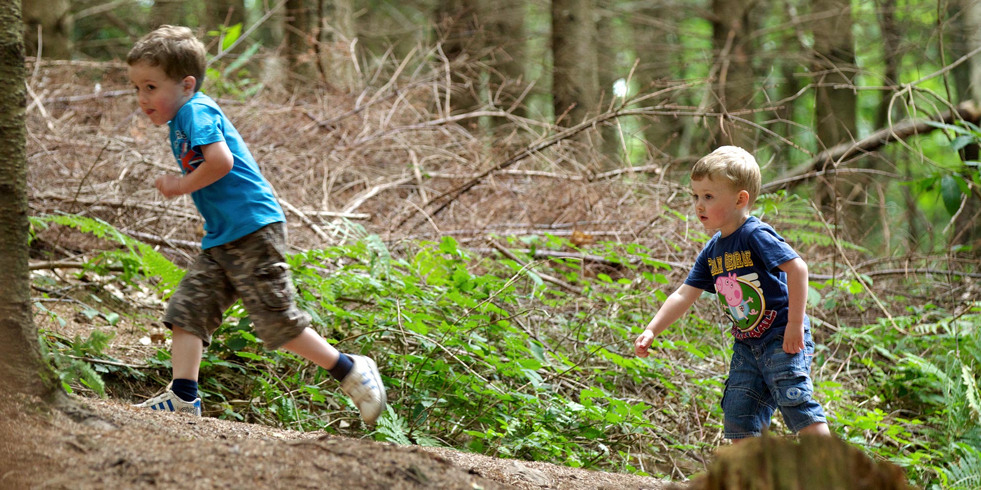 Moors Valley Country Park And Forest Places To Go Lets Go With The