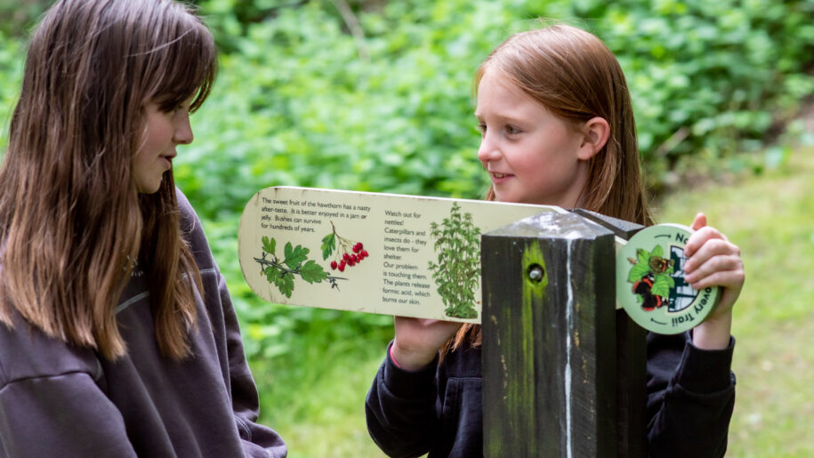 kids looking at woodland trail sign