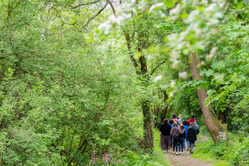 family on woodland walk