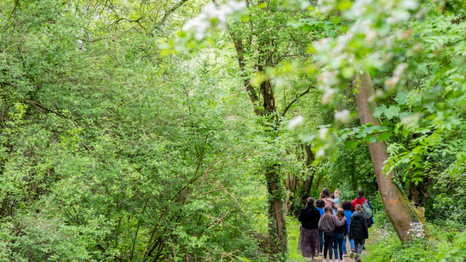 family on woodland walk