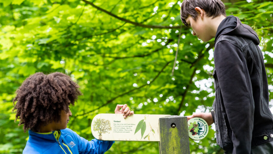 Kids looking at nature trail sign