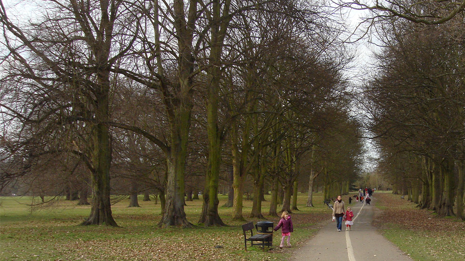 path through park in autumn