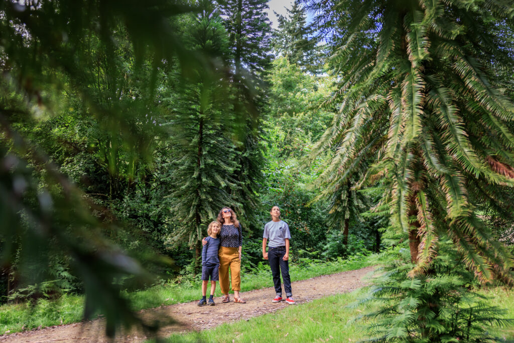 family in forest