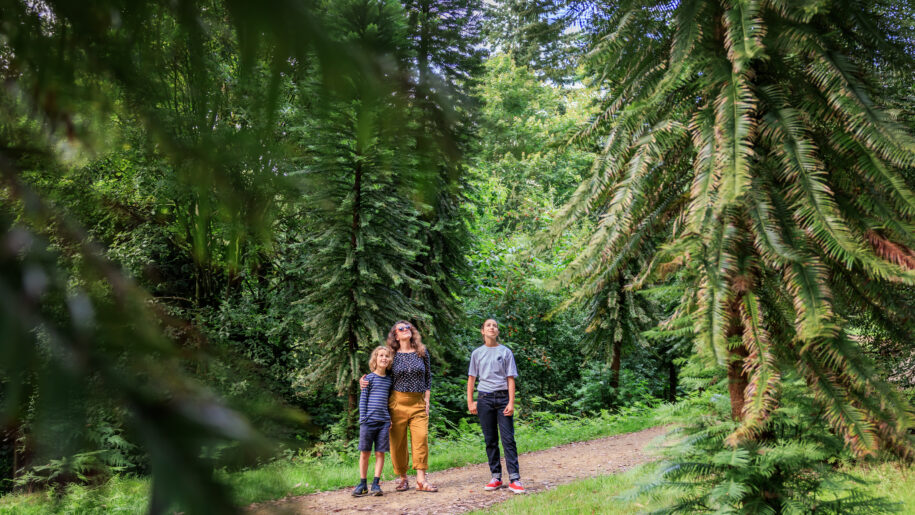 family in forest