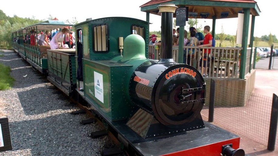 The Conkachoo Train at Conkers.