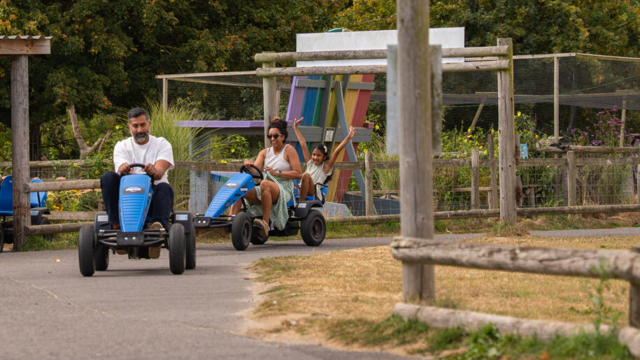 young children racing blue go karts