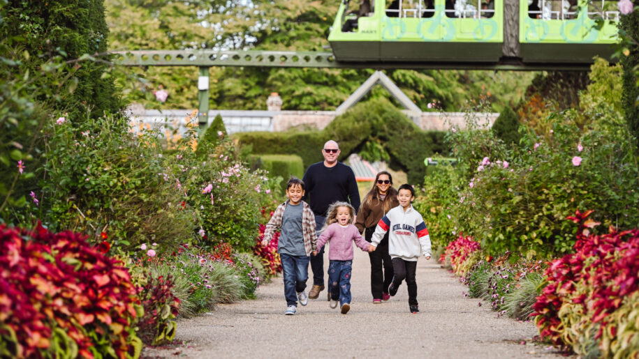 family run through gardens