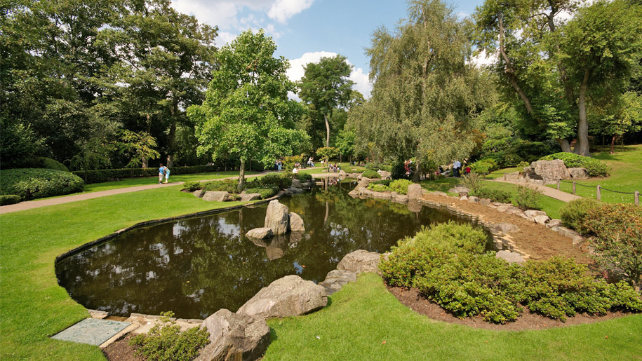 pond in park