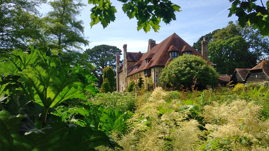 view of house through the shrubbery