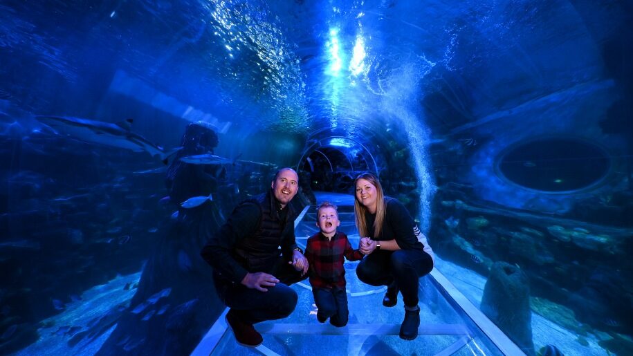 Family in the ocean tunnel at SEA LIFE Birmingham.