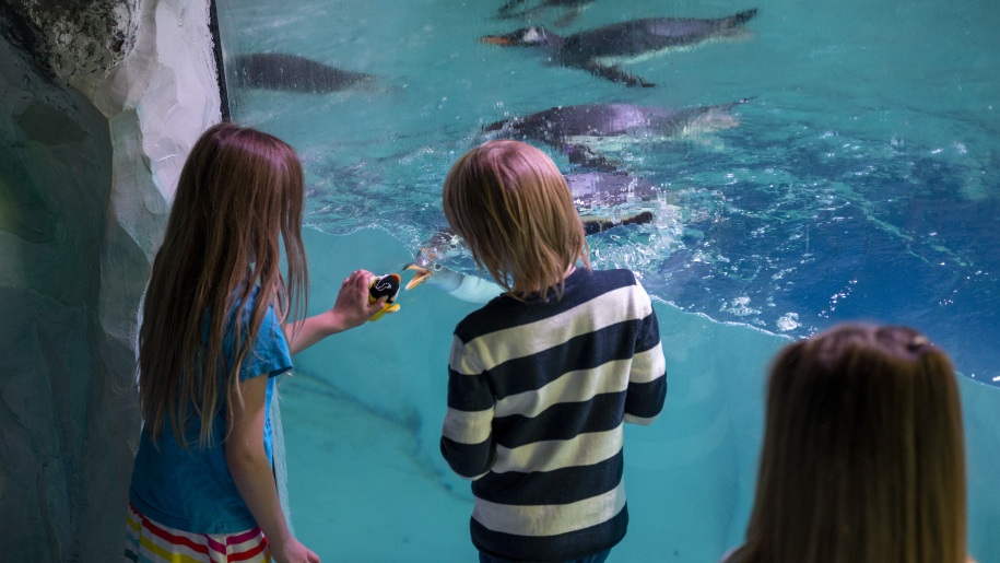 Children at National SEA LIFE Centre Birmingham