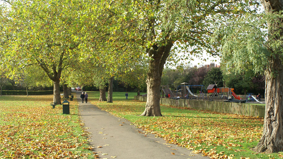 walking through the park in autumn