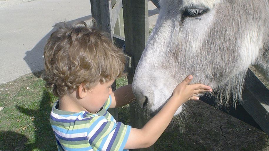 Redwings Oxhill child and horse