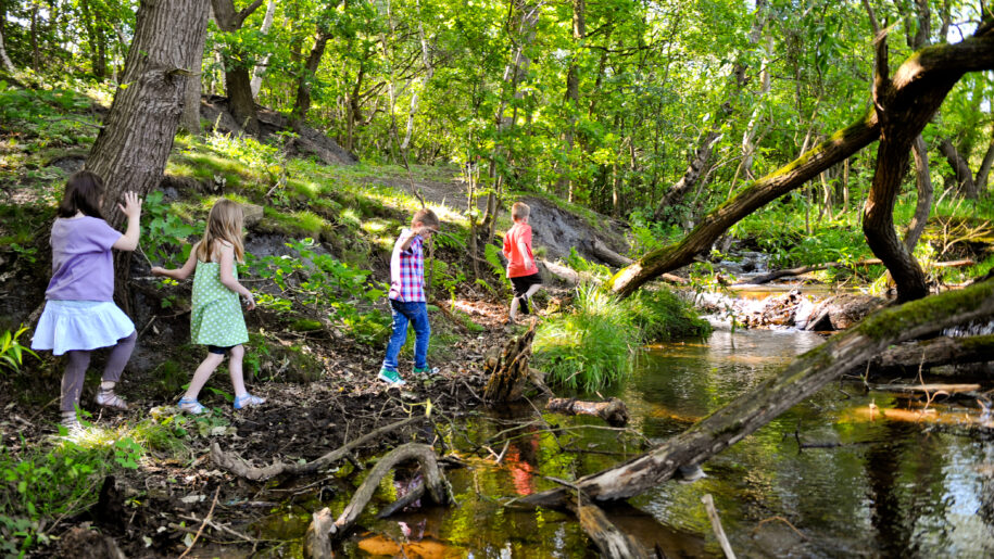 kids playing by water in forest