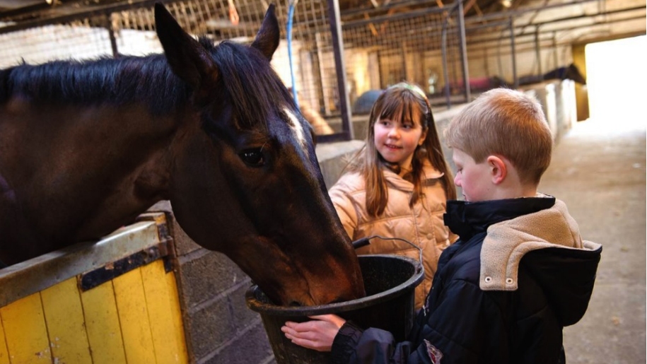children feeding horse