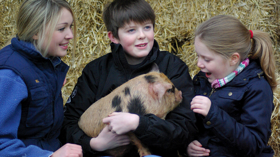 children with pig