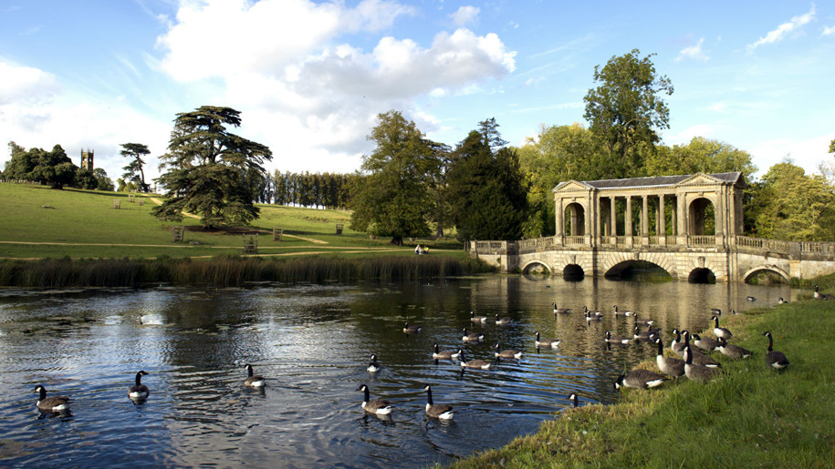 bridge over stream