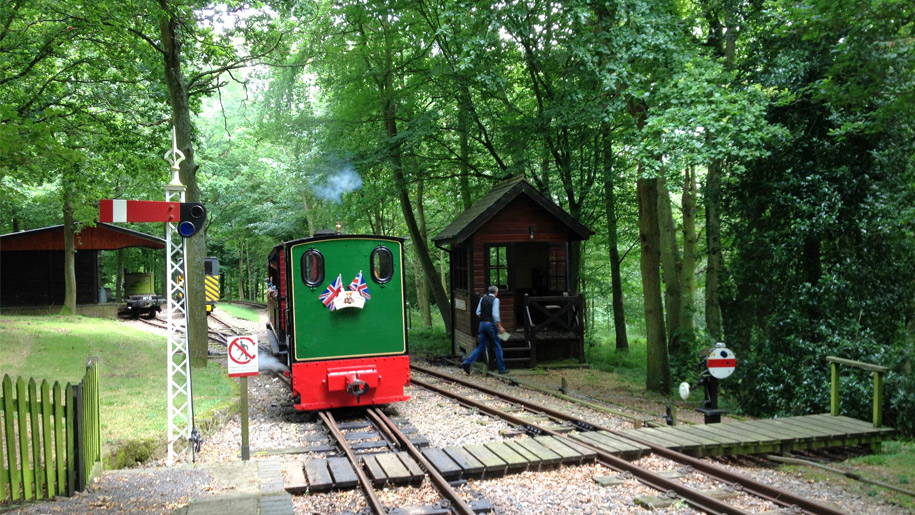 locomotive on woodland track