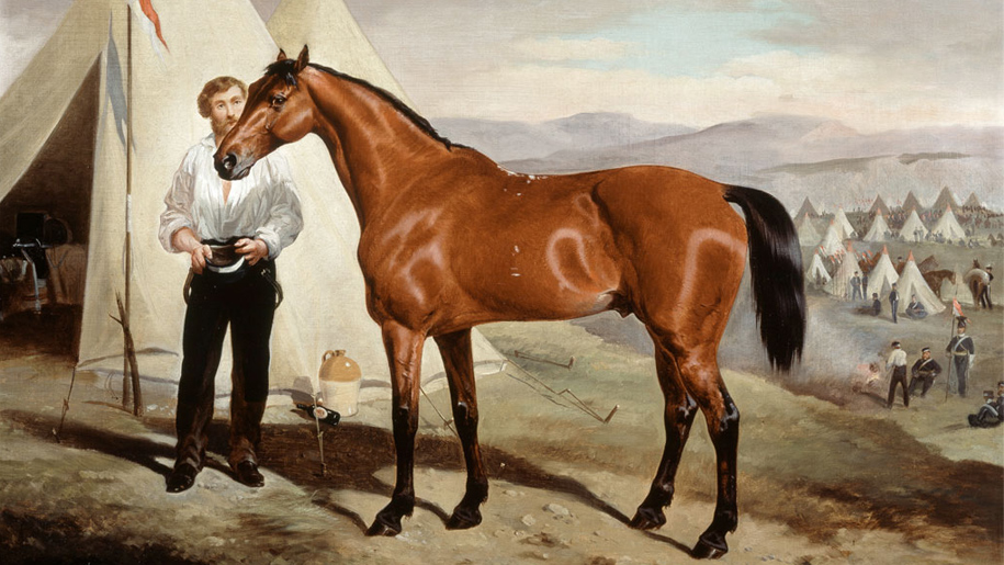 painting of horse