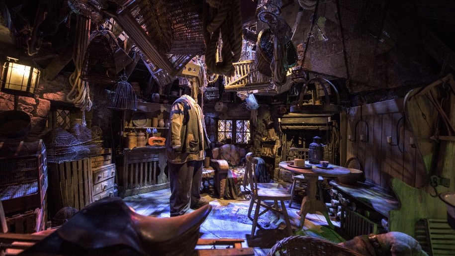 inside Hagrids Hut at WB studio tour