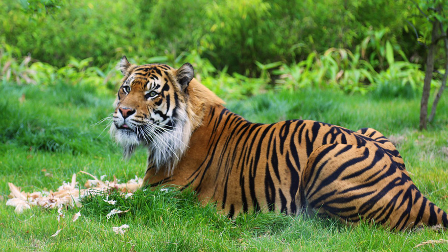 ZSL London Zoo - Places to go | Lets Go With The Children