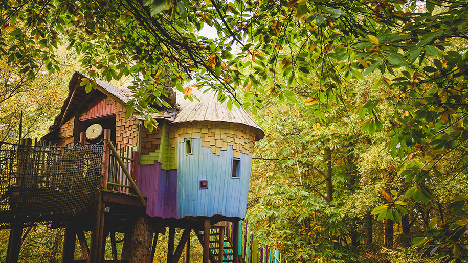 colourful huts in woods