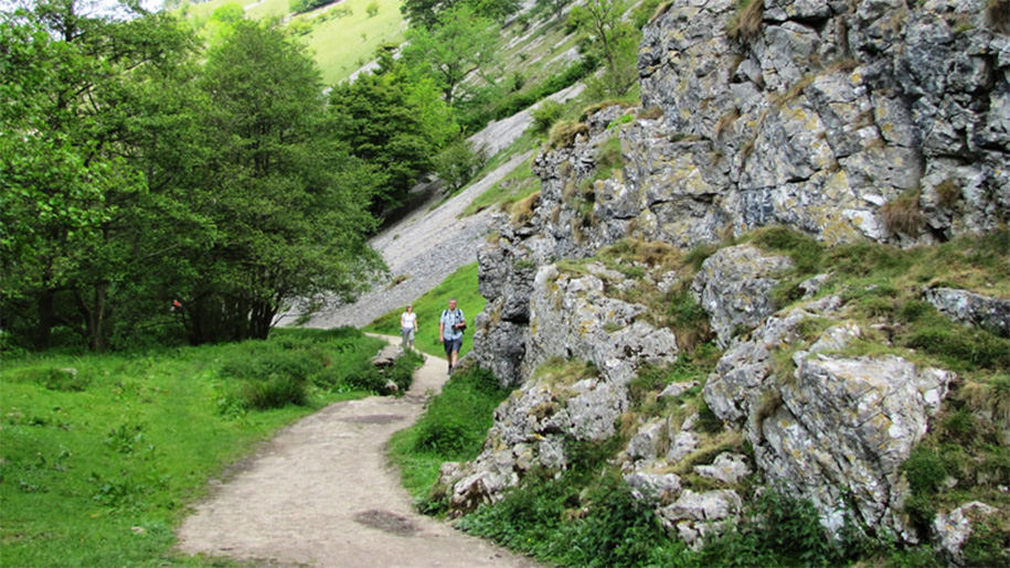 path in the dale
