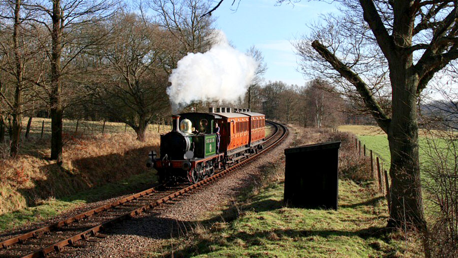 The Bluebell Railway train in the countryside