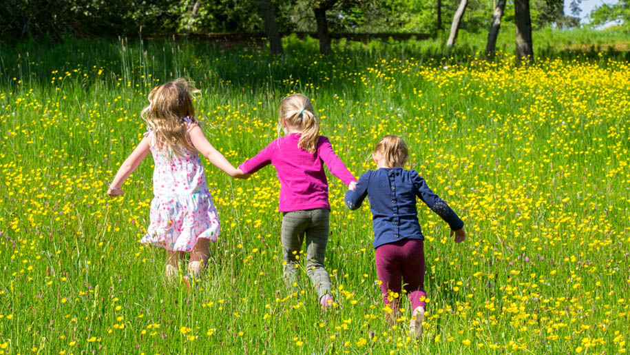 Bowood House and Gardens girls field