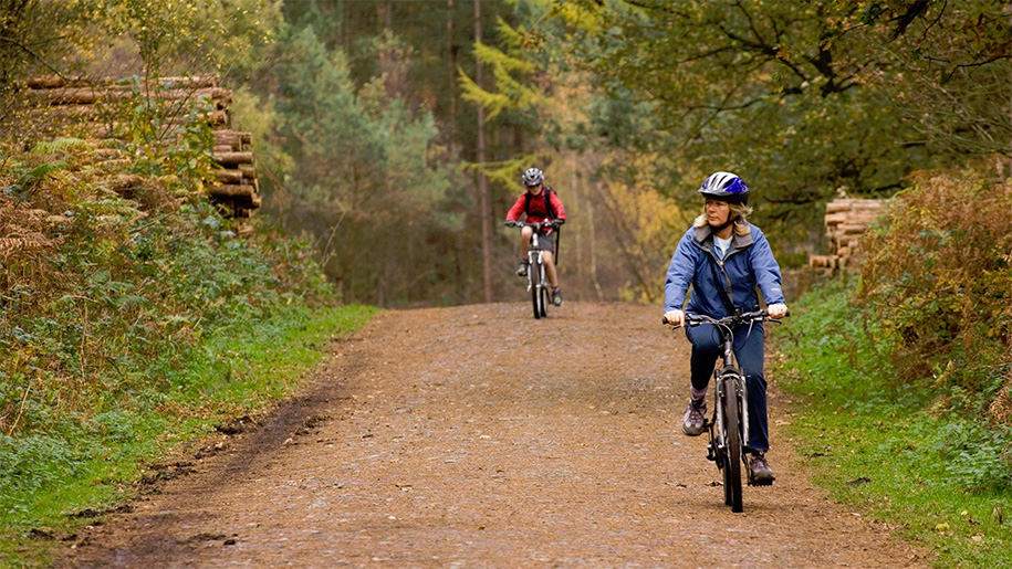 Delamere forest two people cycling