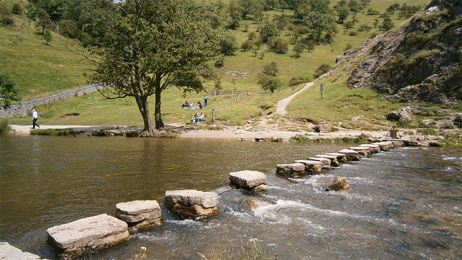 stones in river