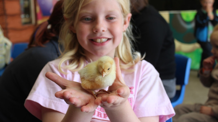 girl holding chick