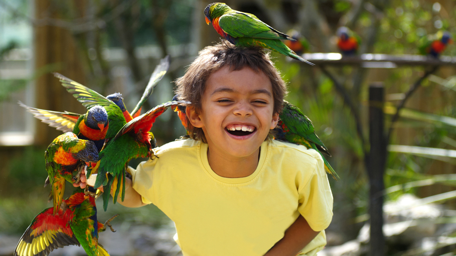 Drusillas Park Boy with Parrots