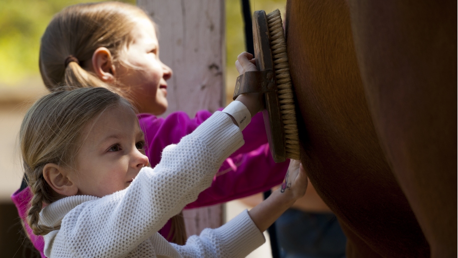 girls brushing horse