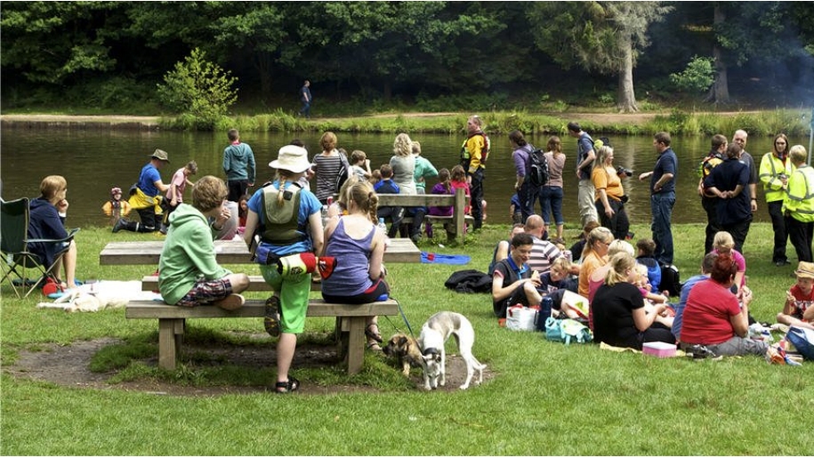 people picnicking