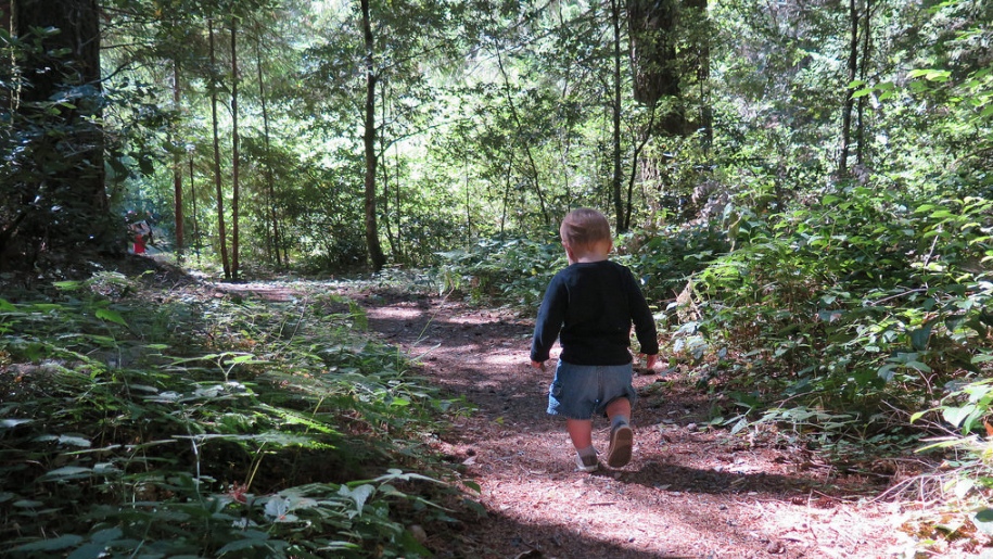 boy walking in woods