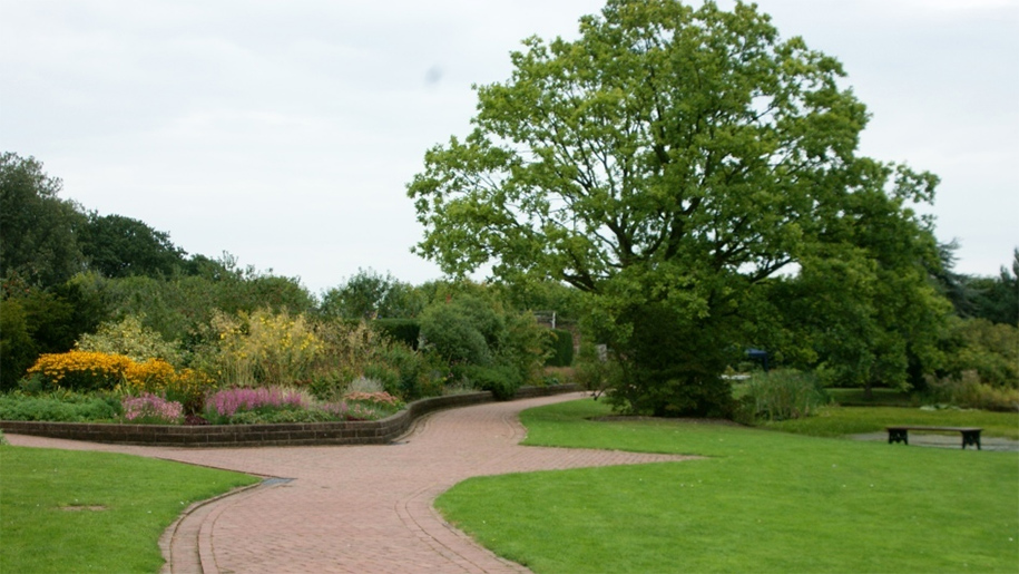 park path and tree