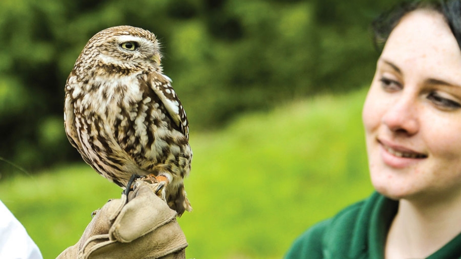 girl with owl