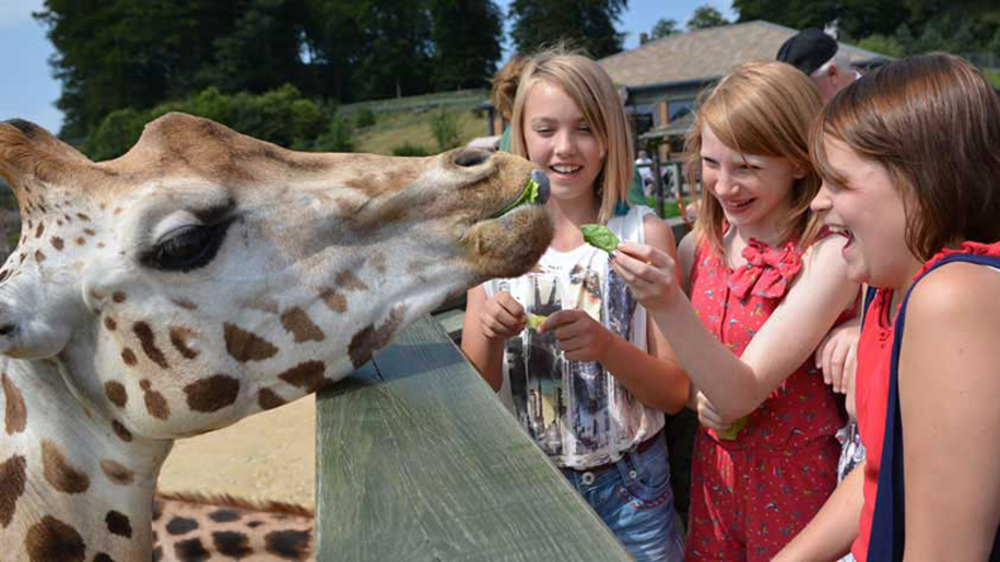 longleat safari school trips