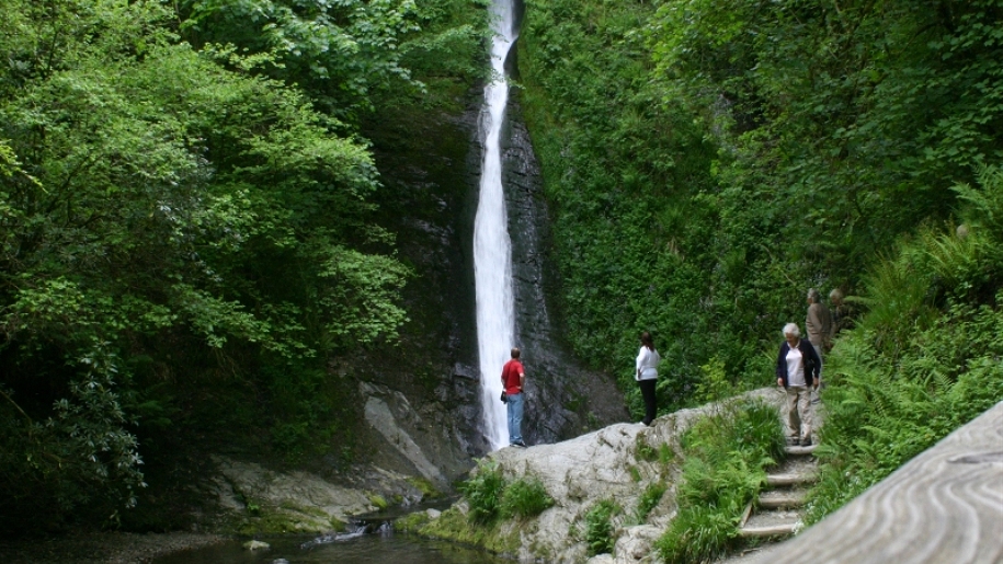 people looking at waterfall