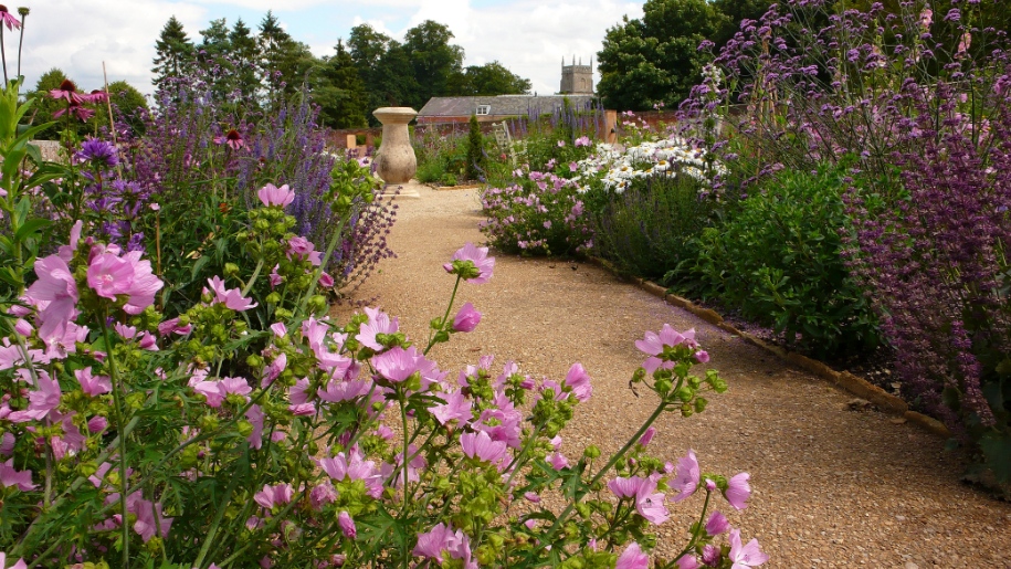 pink flowers surrounding path