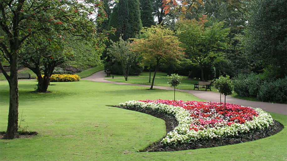 flowers in park