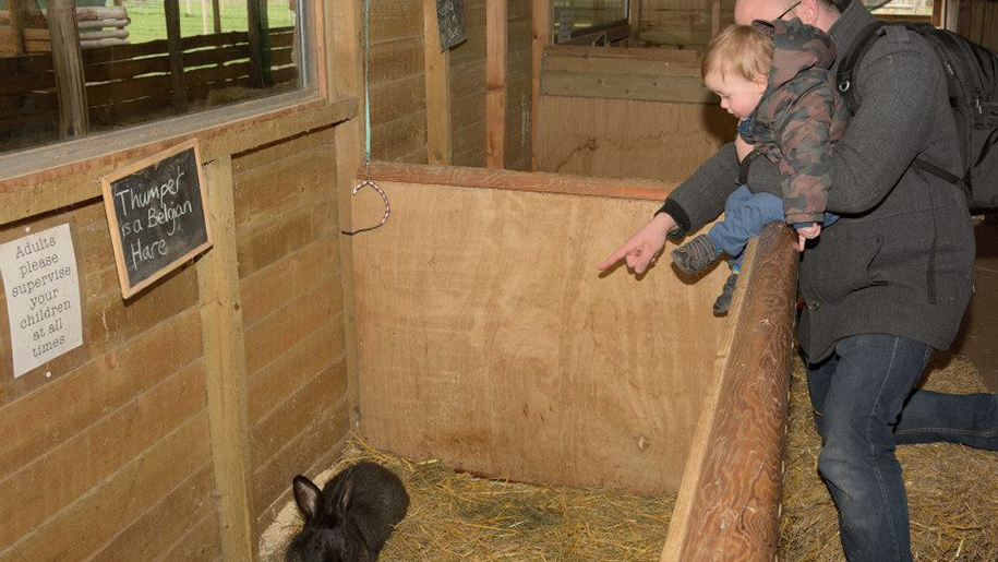 Newbridge Farm Park Places to go Lets Go With The Children