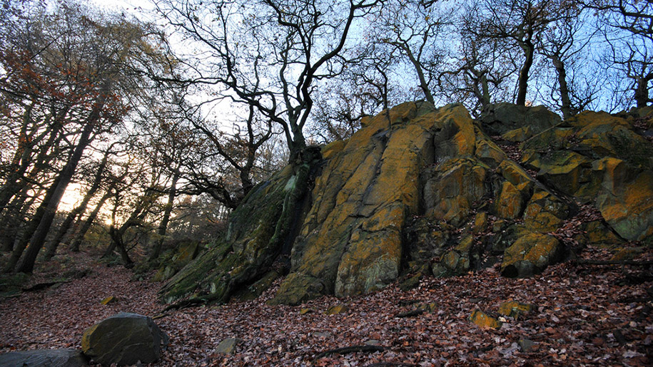 outwoods rocks and trees