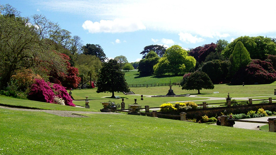 view across the gardens