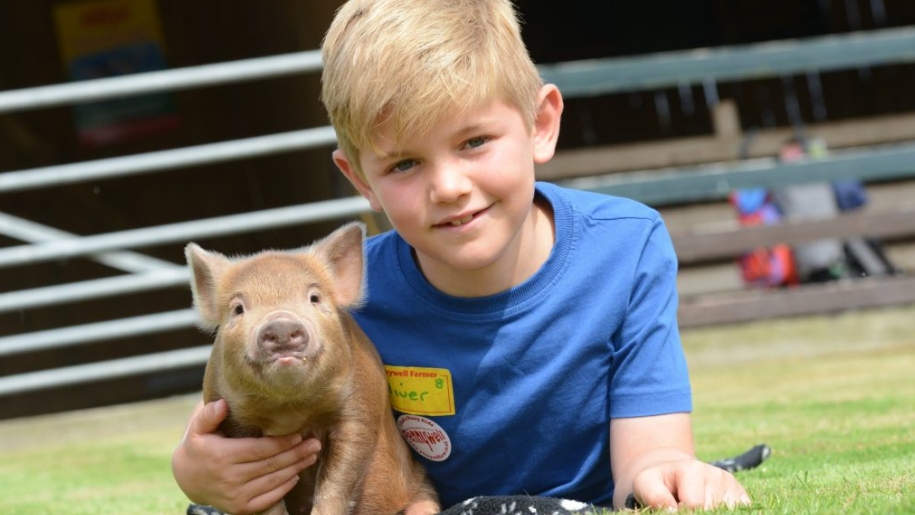 boy and piglet