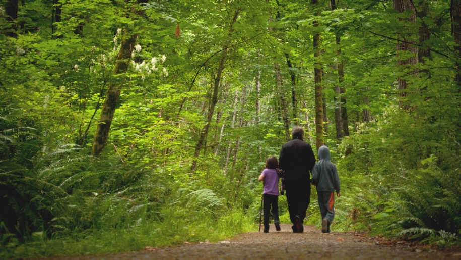 family woodland walk