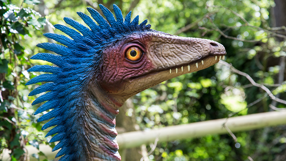 Port Lympne Hotel and Reserve Places to go Lets Go With The Children