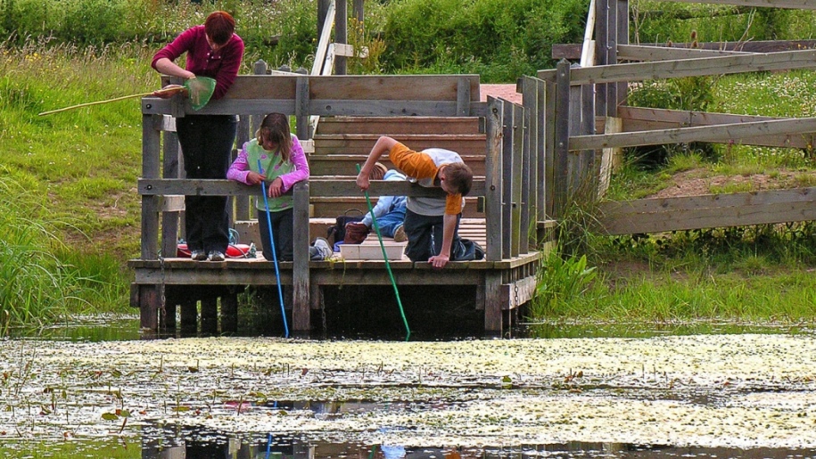 Pond dipping at Shropshire Hills Discovery Centre.