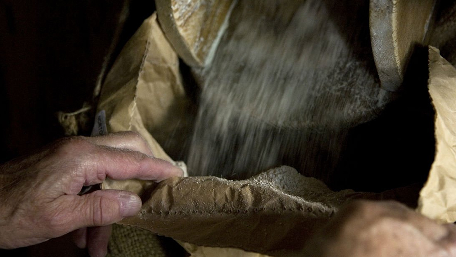 grain filling a bag